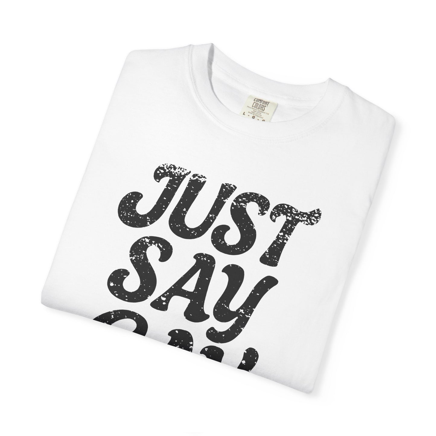 Just Say Gay Protest Shirt Social Justice LGBTQ T-Shirt Comfort Colors Anti-Fascism Resist Queer Gay Lesbian Bisexual Transgender Apparel
