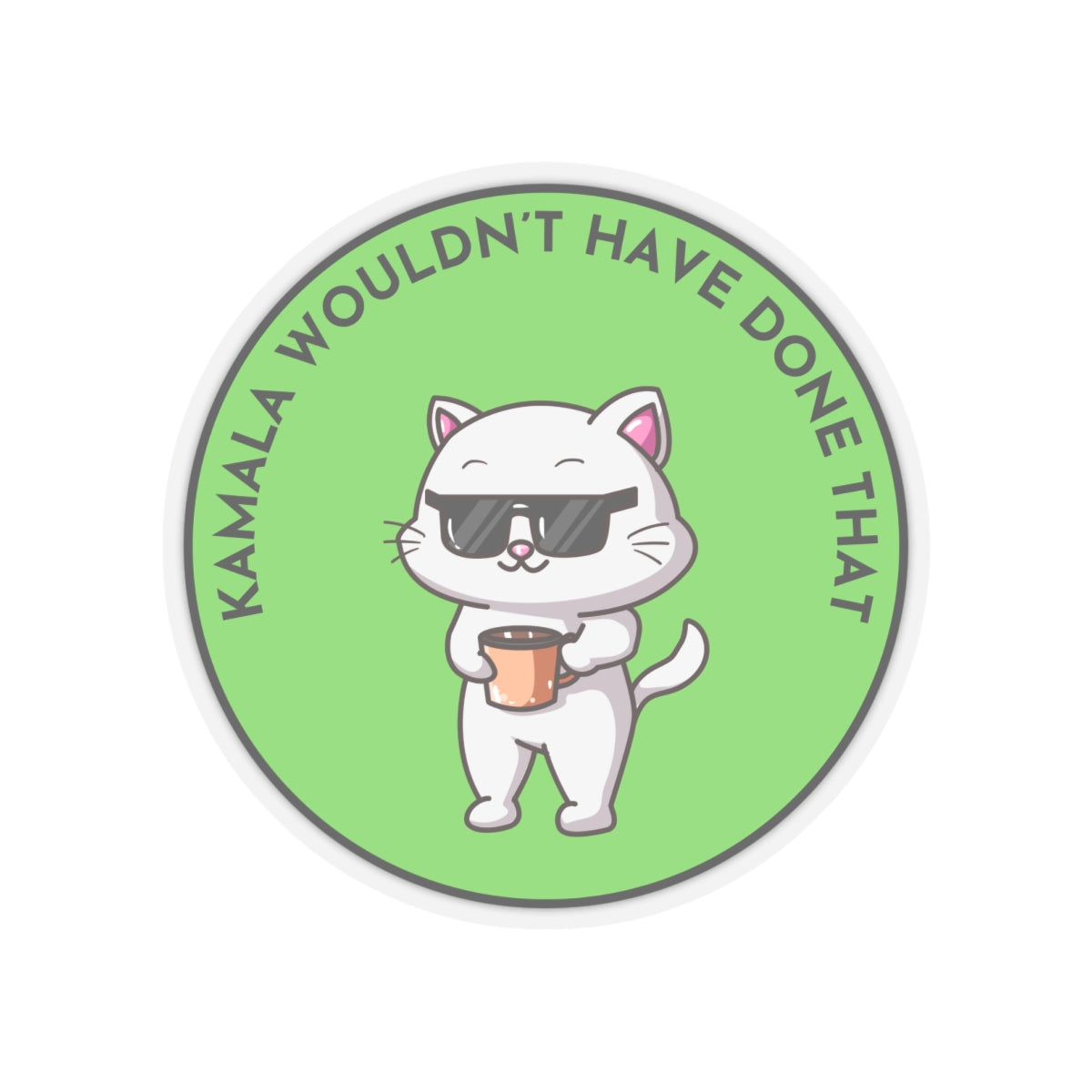 Resist Sticker Anti-Trump Merch Kamala Wouldn't Have Done That Political Decal FDT Protest Sticker Activist Anti-Fascism Resistance Decal