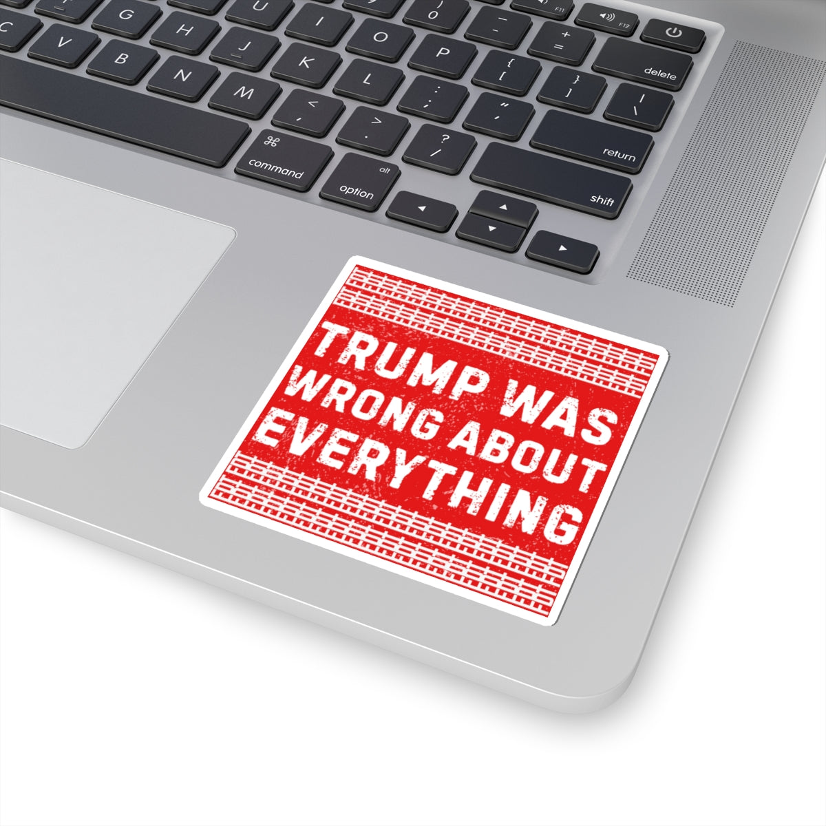 Resist Sticker FDT Anti Trump Was Wrong About Everything Political Decal Protest Sticker Activist Anti-Fascism Resistance Decal