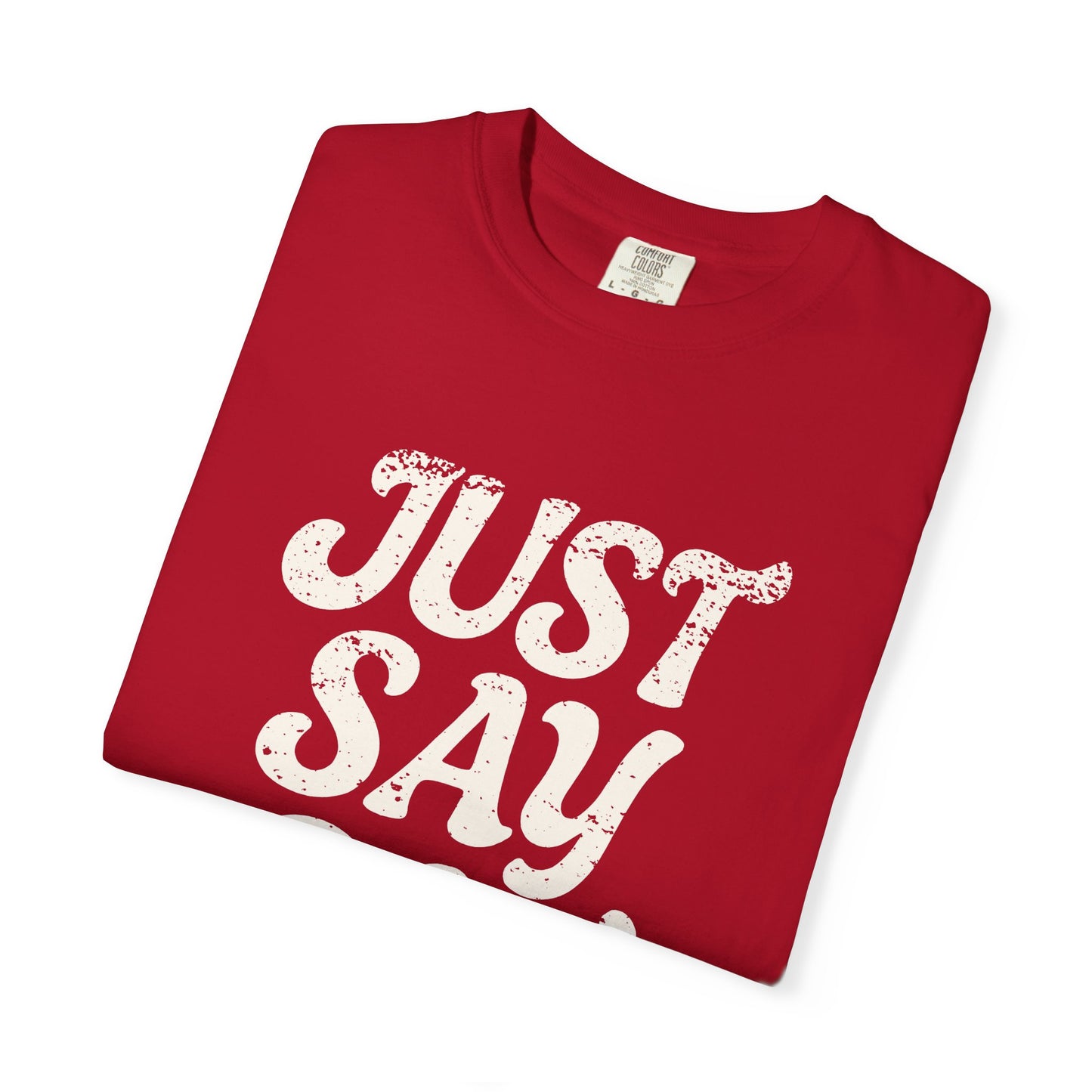 Just Say Gay Protest Shirt Social Justice LGBTQ T-Shirt Comfort Colors Anti-Fascism Resist Queer Gay Lesbian Bisexual Transgender Apparel