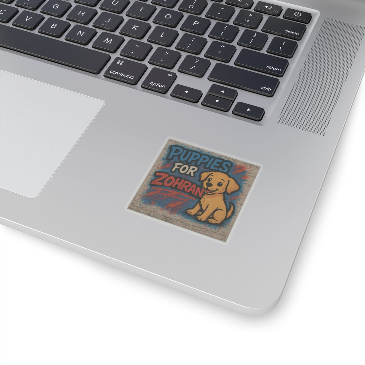 Political Sticker Puppies for Zohran Mamdani Merch NYC New York City Mayor 2025 Decal FDT Anti-Fascism Resistance Decal Social Democrat