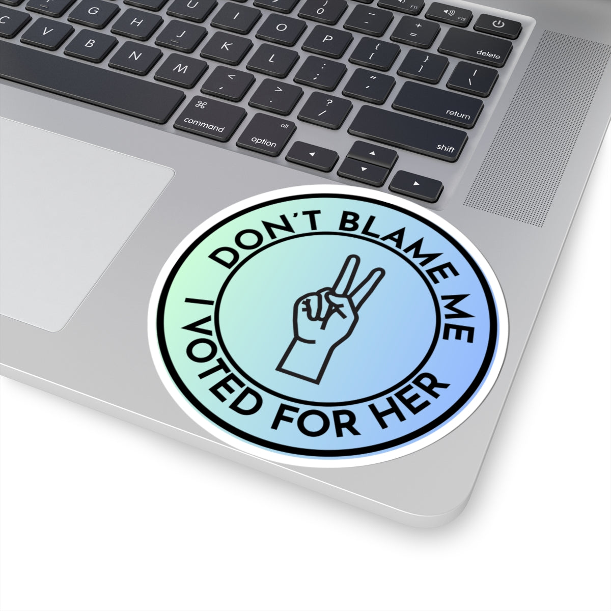 Resist Sticker Anti-Trump Merch Don't Blame Me I Voted for Her Political Decal FDT Protest Sticker Activist Anti-Fascism Resistance Decal