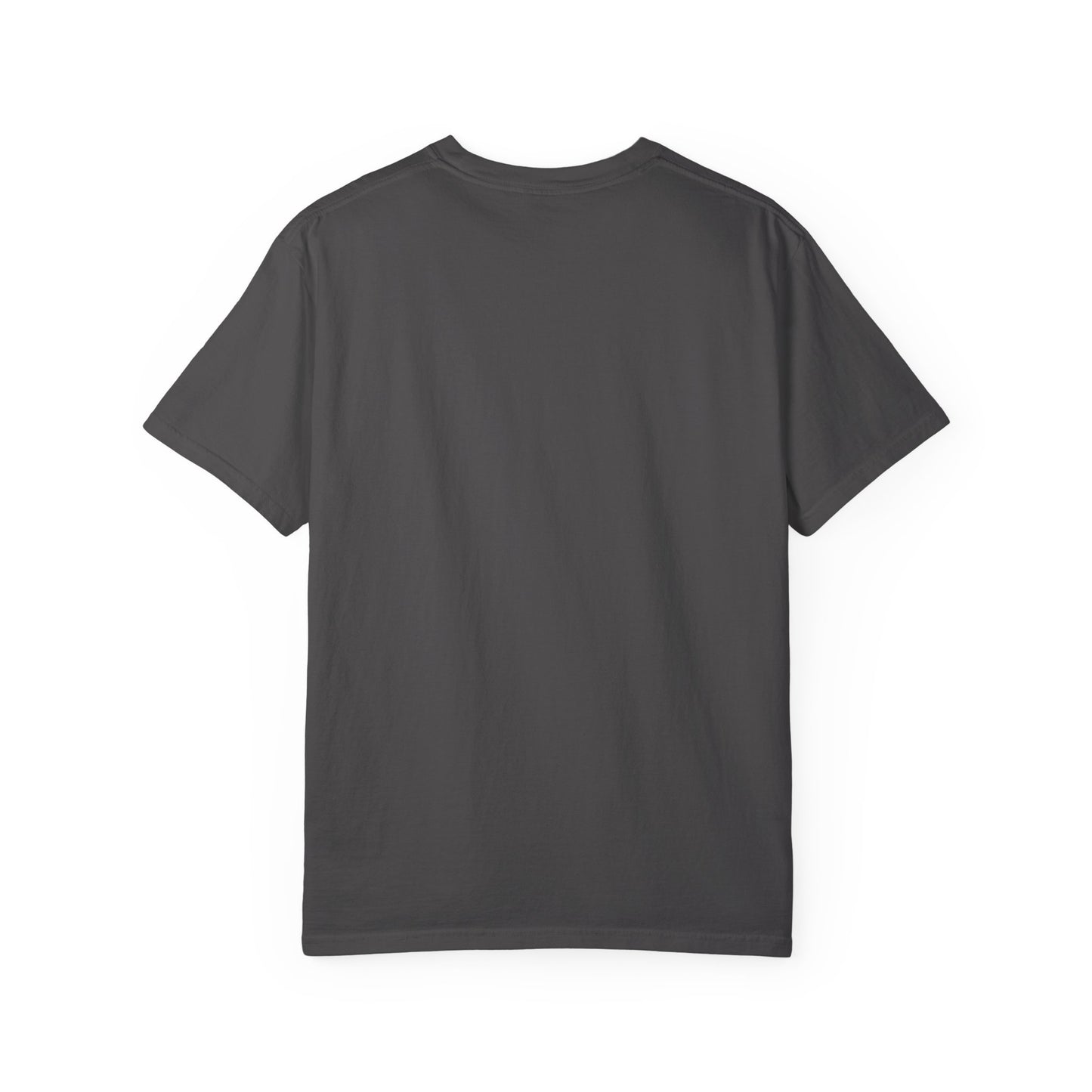 Distressed USA Flag Mourning Protest Shirt Social Justice TShirt Anti-Trump Merch Anti-Fascism Resist Comfort Colors Tee Democrat Apparel