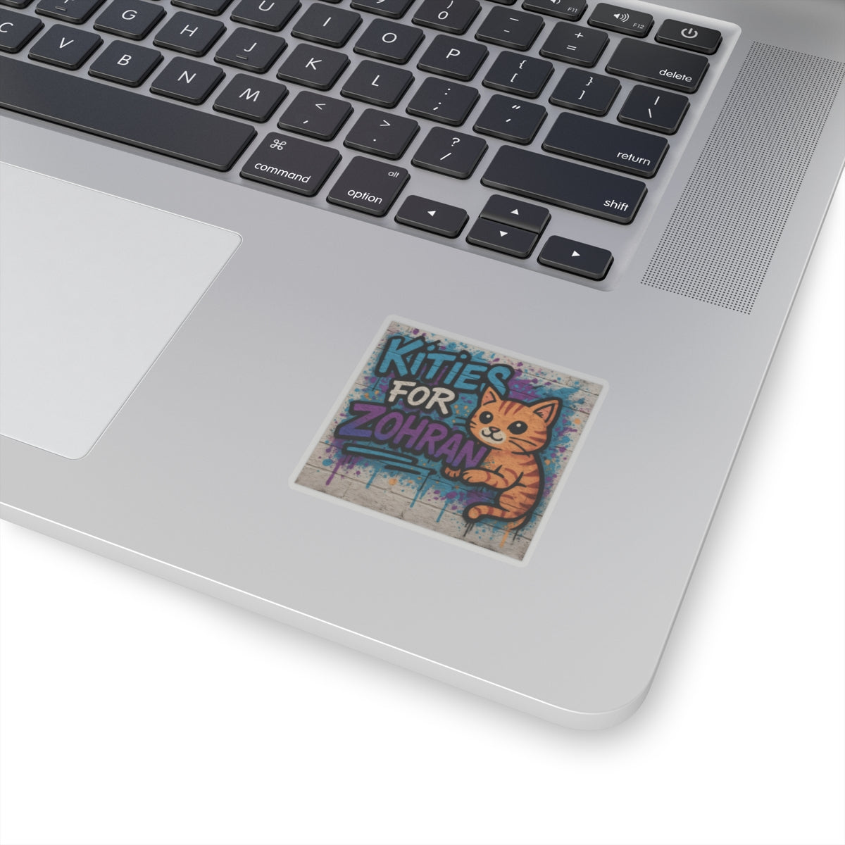 Political Sticker Kitties for Zohran Mamdani Merch NYC New York City Mayor 2025 Decal FDT Anti-Fascism Resistance Decal Social Democrat