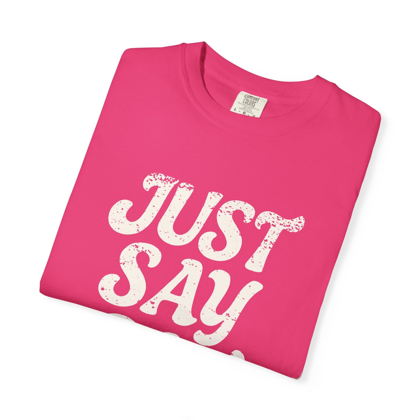 Just Say Gay Protest Shirt Social Justice LGBTQ T-Shirt Comfort Colors Anti-Fascism Resist Queer Gay Lesbian Bisexual Transgender Apparel