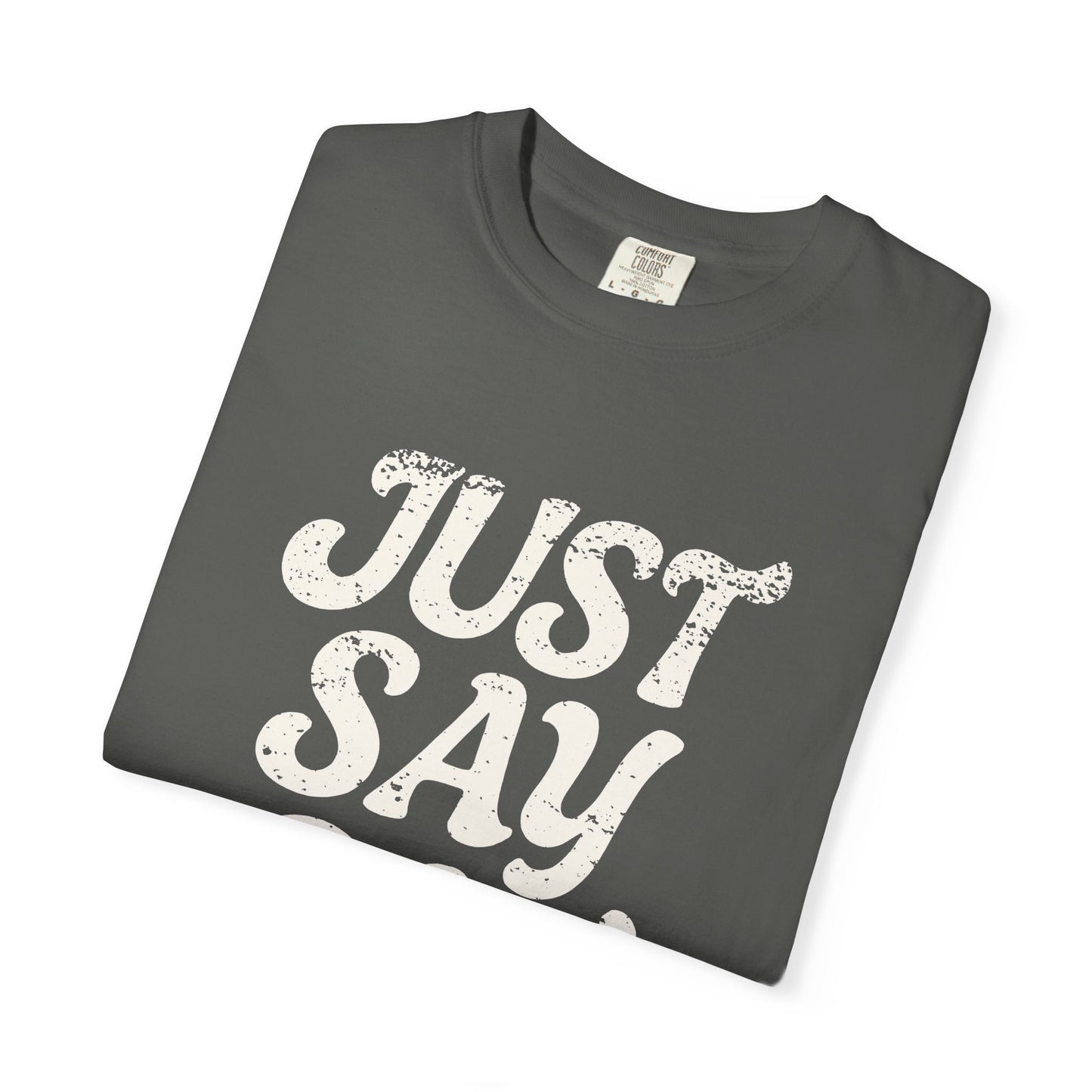 Just Say Gay Protest Shirt Social Justice LGBTQ T-Shirt Comfort Colors Anti-Fascism Resist Queer Gay Lesbian Bisexual Transgender Apparel