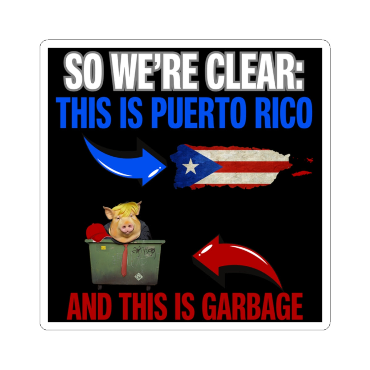 Resist Sticker Anti-Trump Merch Puerto Rico Isn't Garbage Political Decal FDT Protest Sticker Boricua Activist Anti-Fascism Resistance Decal