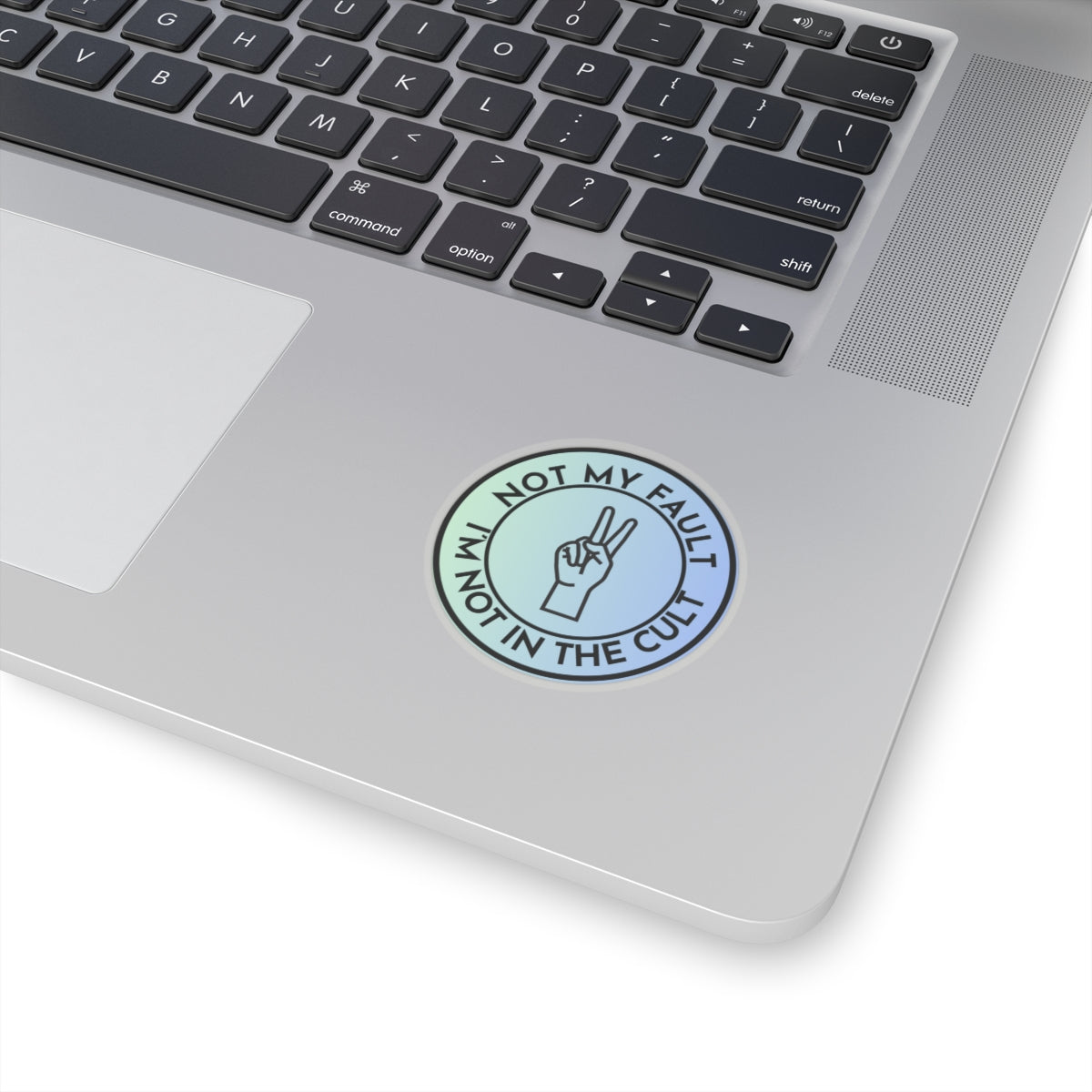 Resist Sticker Anti-Trump Merch Not My Fault I'm Not in the Cult Political Decal FDT Protest Sticker Activist Anti-Fascism Resistance Decal