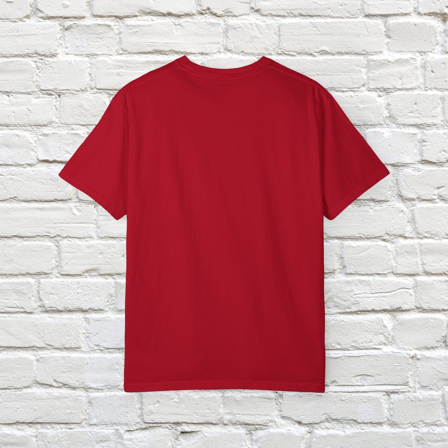No Kings in the USA Protest Tee Resistance Social Justice Shirt Comfort Colors Ring-Spun US Cotton Resist Anti Trump Democrat Apparel