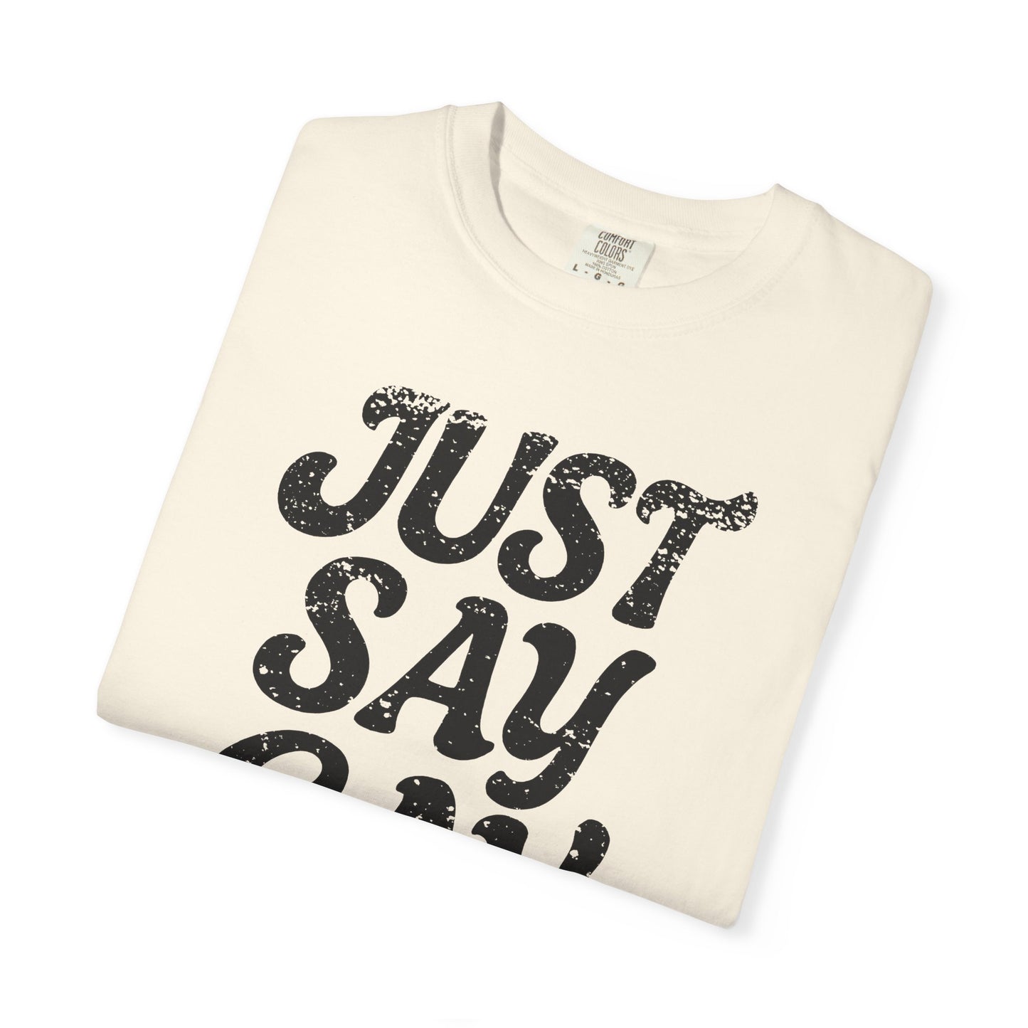 Just Say Gay Protest Shirt Social Justice LGBTQ T-Shirt Comfort Colors Anti-Fascism Resist Queer Gay Lesbian Bisexual Transgender Apparel