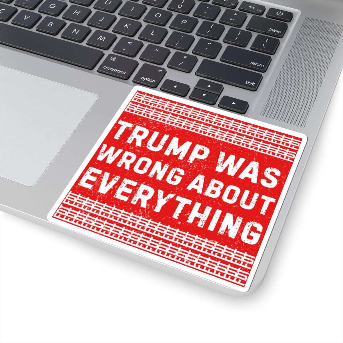 Resist Sticker FDT Anti Trump Was Wrong About Everything Political Decal Protest Sticker Activist Anti-Fascism Resistance Decal