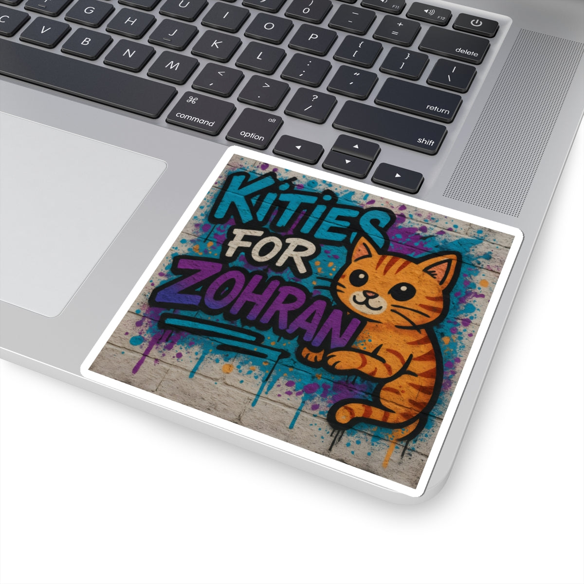 Political Sticker Kitties for Zohran Mamdani Merch NYC New York City Mayor 2025 Decal FDT Anti-Fascism Resistance Decal Social Democrat