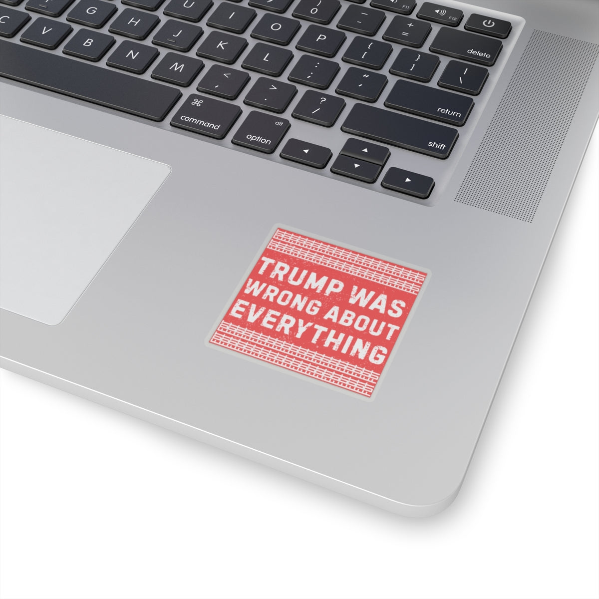 Resist Sticker FDT Anti Trump Was Wrong About Everything Political Decal Protest Sticker Activist Anti-Fascism Resistance Decal