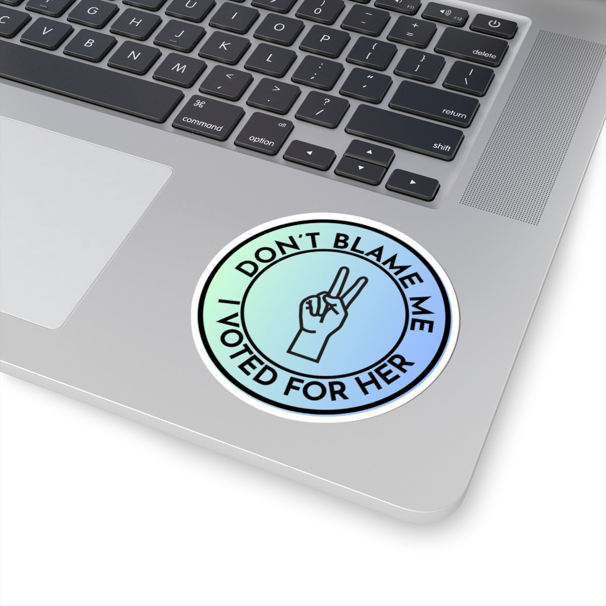 Resist Sticker Anti-Trump Merch Don't Blame Me I Voted for Her Political Decal FDT Protest Sticker Activist Anti-Fascism Resistance Decal