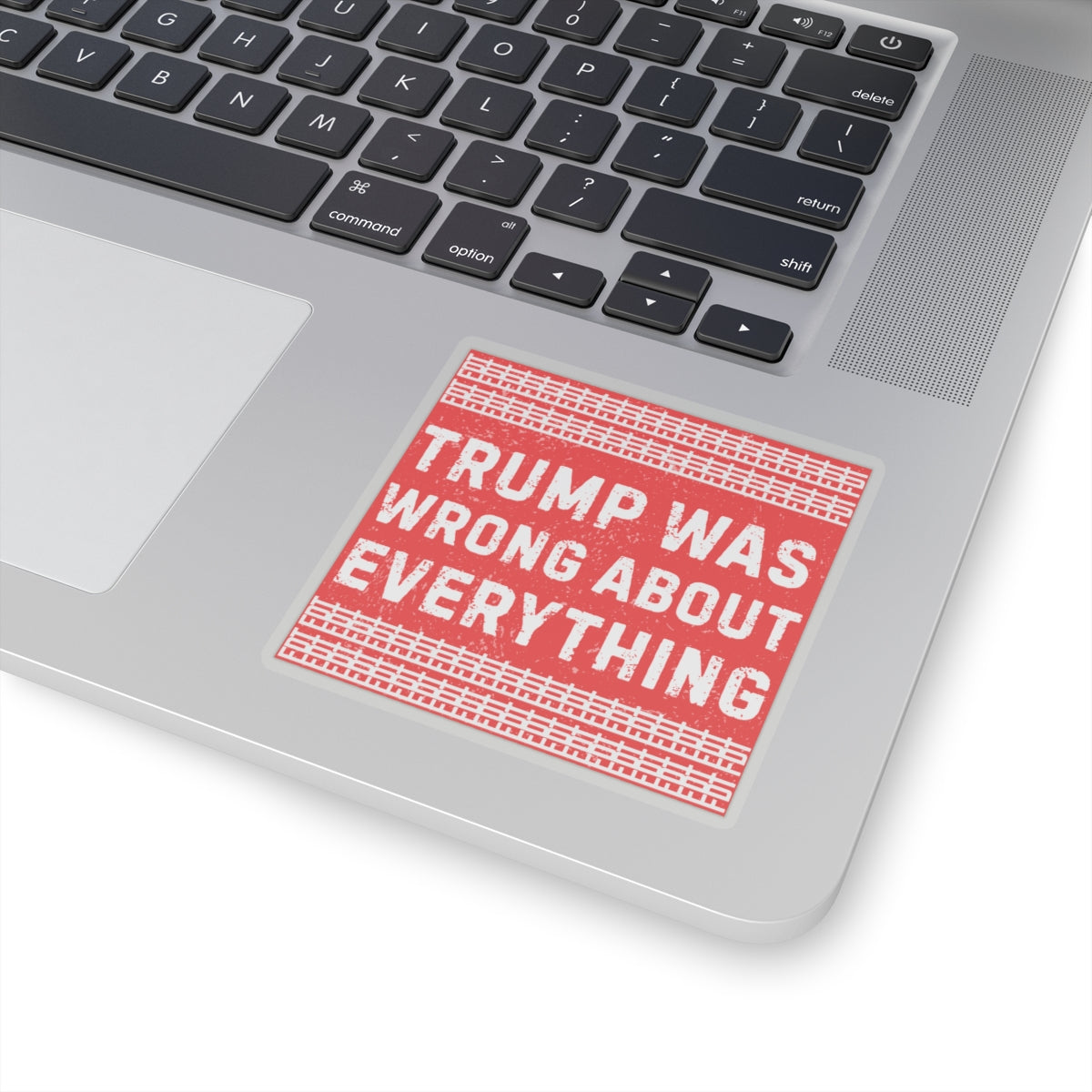 Resist Sticker FDT Anti Trump Was Wrong About Everything Political Decal Protest Sticker Activist Anti-Fascism Resistance Decal