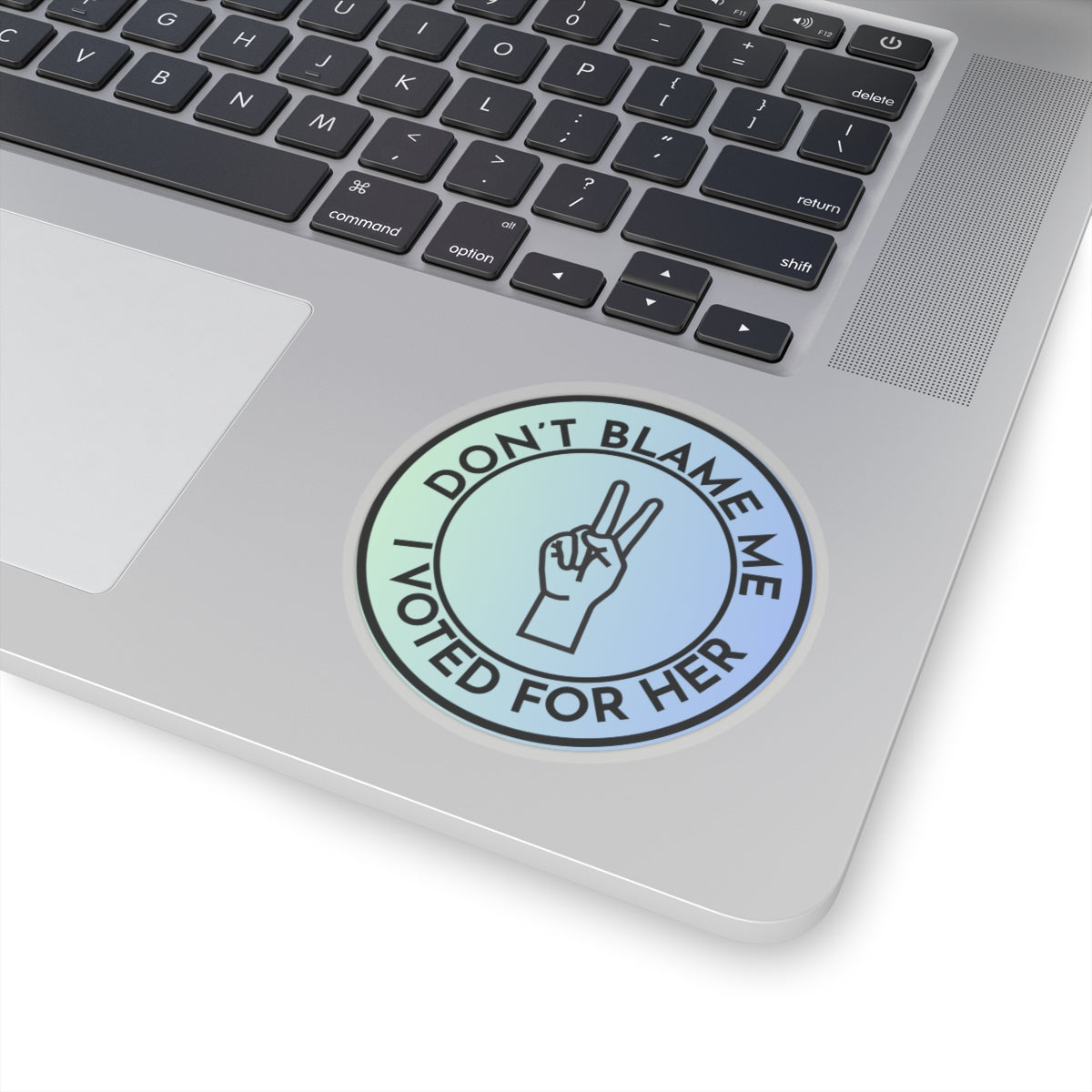 Resist Sticker Anti-Trump Merch Don't Blame Me I Voted for Her Political Decal FDT Protest Sticker Activist Anti-Fascism Resistance Decal