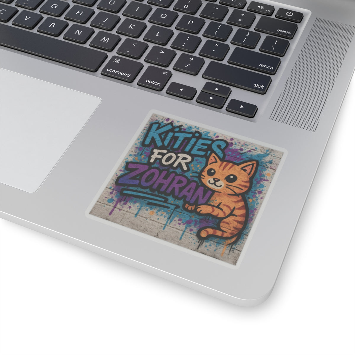 Political Sticker Kitties for Zohran Mamdani Merch NYC New York City Mayor 2025 Decal FDT Anti-Fascism Resistance Decal Social Democrat