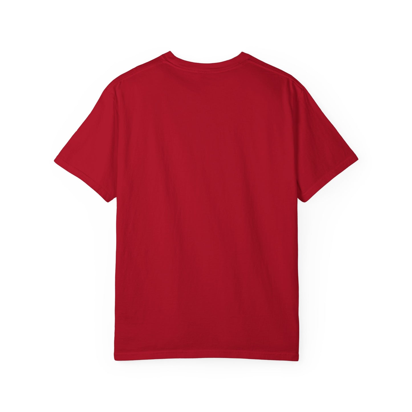 FDT Shirt Feeling Presidential Protest Tee Foxtrot Delta Tango F*ck Donald Trump Social Justice Anti-Fascism Comfort Colors Cotton TShirt