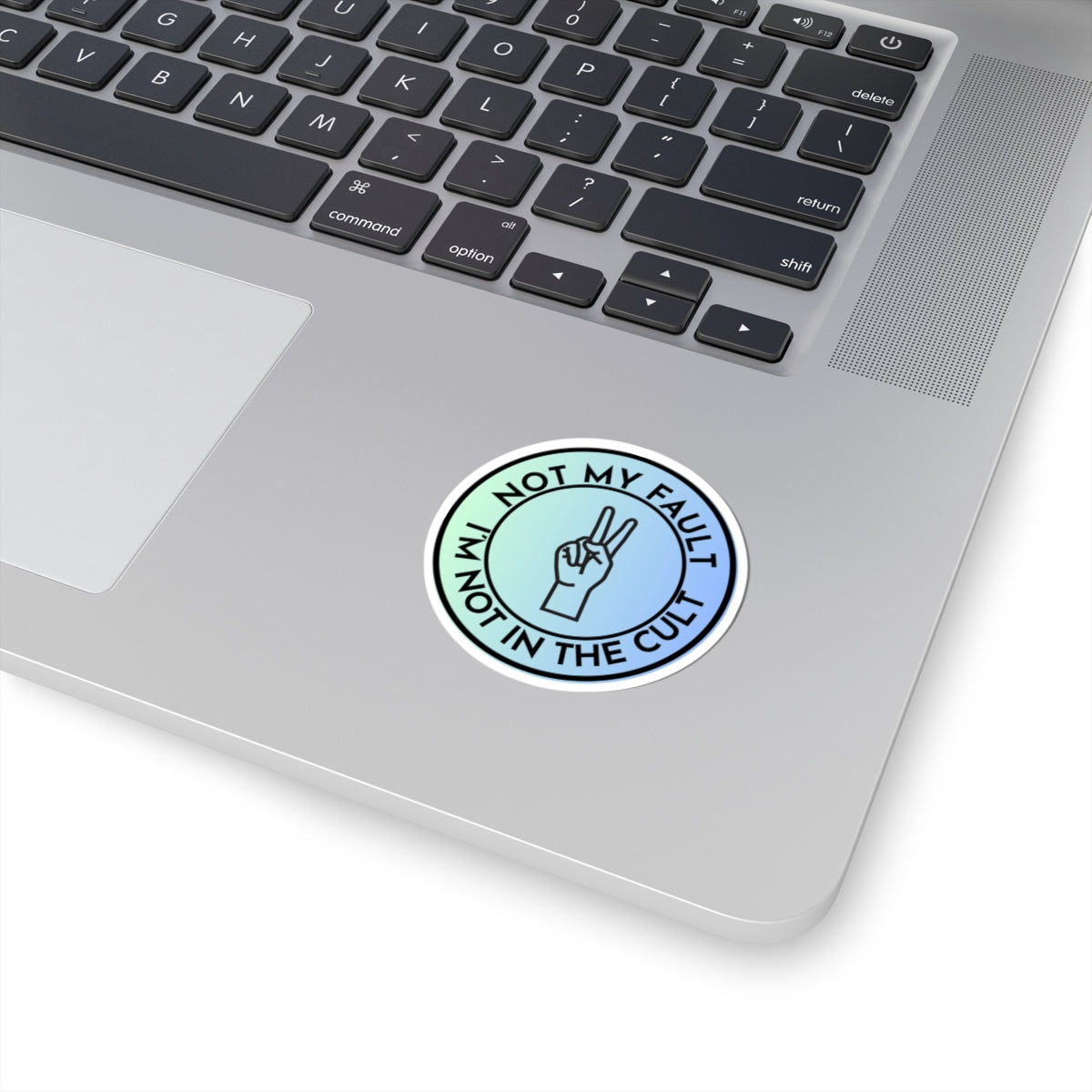 Resist Sticker Anti-Trump Merch Not My Fault I'm Not in the Cult Political Decal FDT Protest Sticker Activist Anti-Fascism Resistance Decal