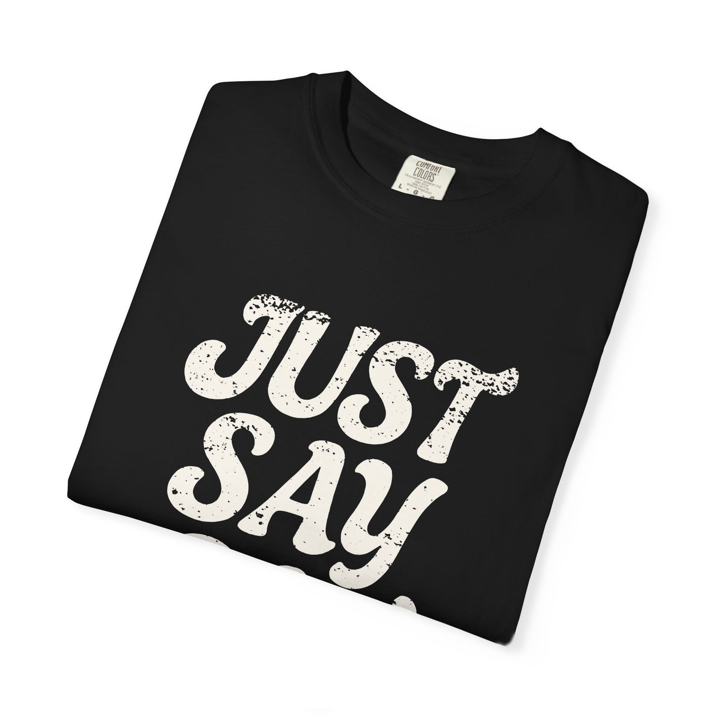 Just Say Gay Protest Shirt Social Justice LGBTQ T-Shirt Comfort Colors Anti-Fascism Resist Queer Gay Lesbian Bisexual Transgender Apparel