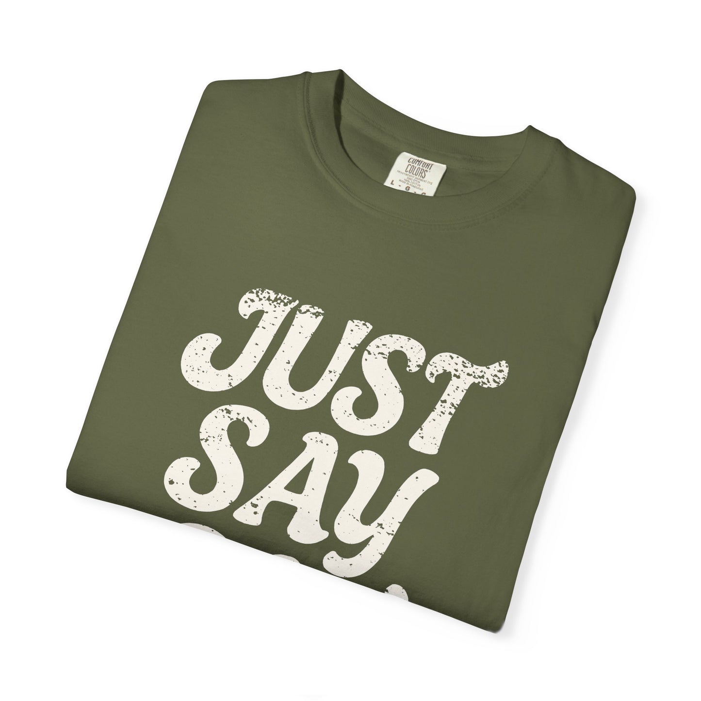 Just Say Gay Protest Shirt Social Justice LGBTQ T-Shirt Comfort Colors Anti-Fascism Resist Queer Gay Lesbian Bisexual Transgender Apparel