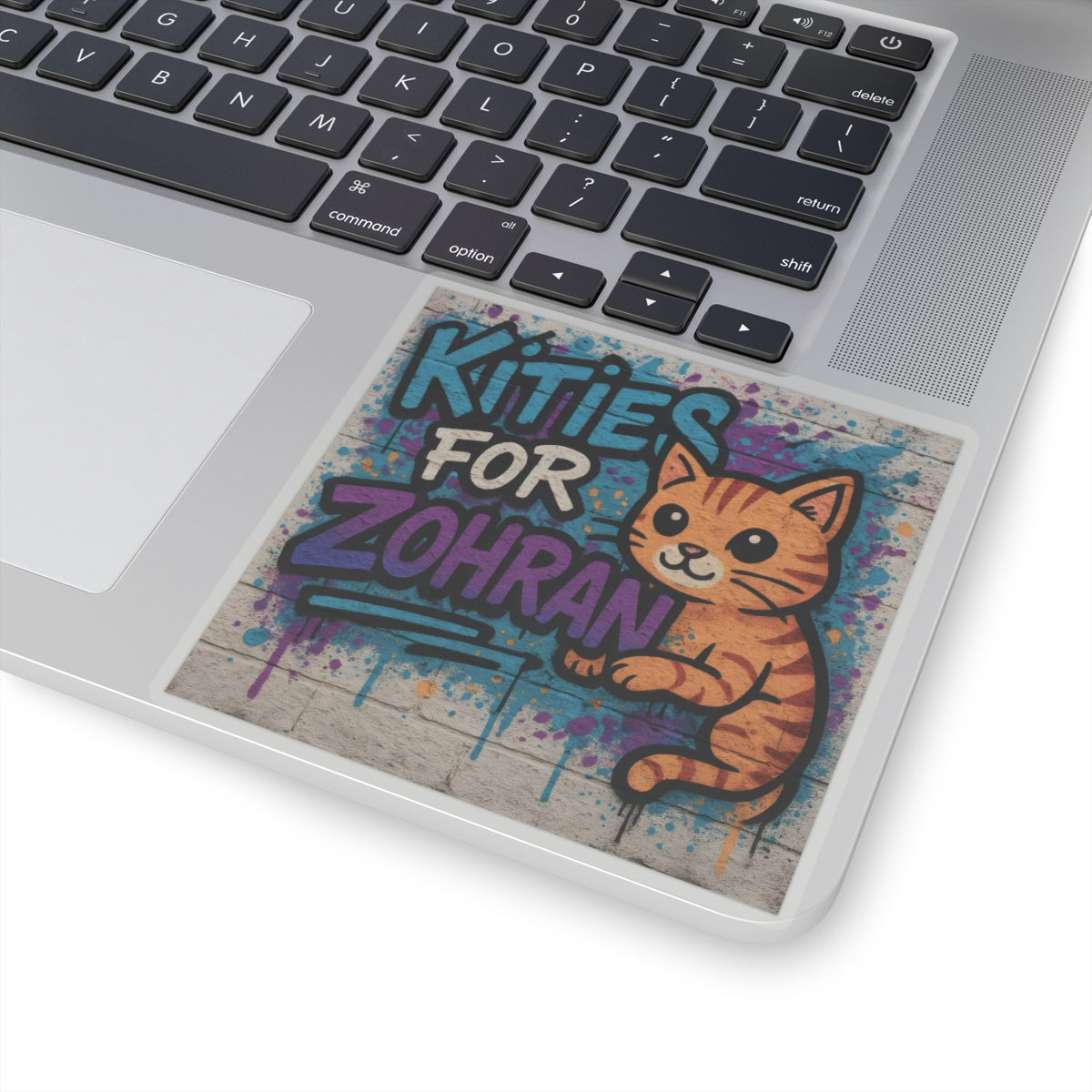 Political Sticker Kitties for Zohran Mamdani Merch NYC New York City Mayor 2025 Decal FDT Anti-Fascism Resistance Decal Social Democrat