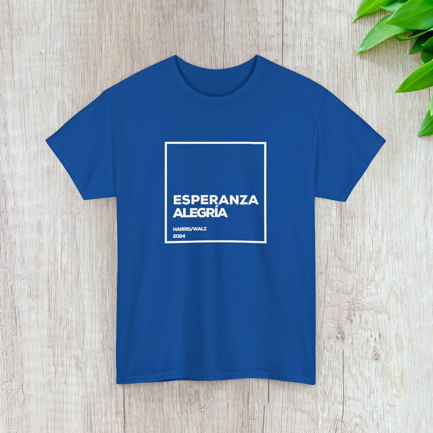 Esperanza y Alegría Shirt- Harris/Walz 2024 T-Shirt in Spanish-  Democrat Presidential Election Tee