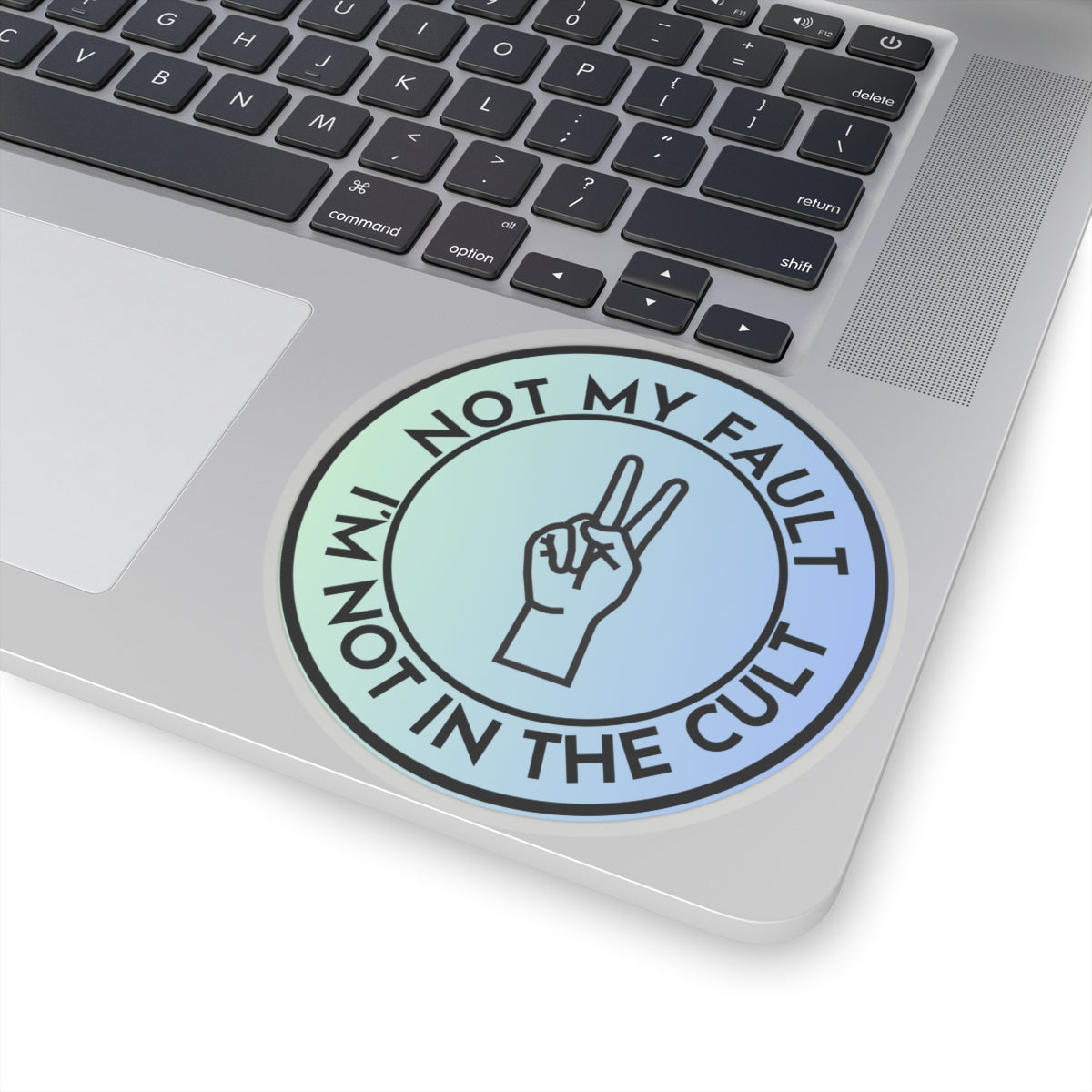 Resist Sticker Anti-Trump Merch Not My Fault I'm Not in the Cult Political Decal FDT Protest Sticker Activist Anti-Fascism Resistance Decal