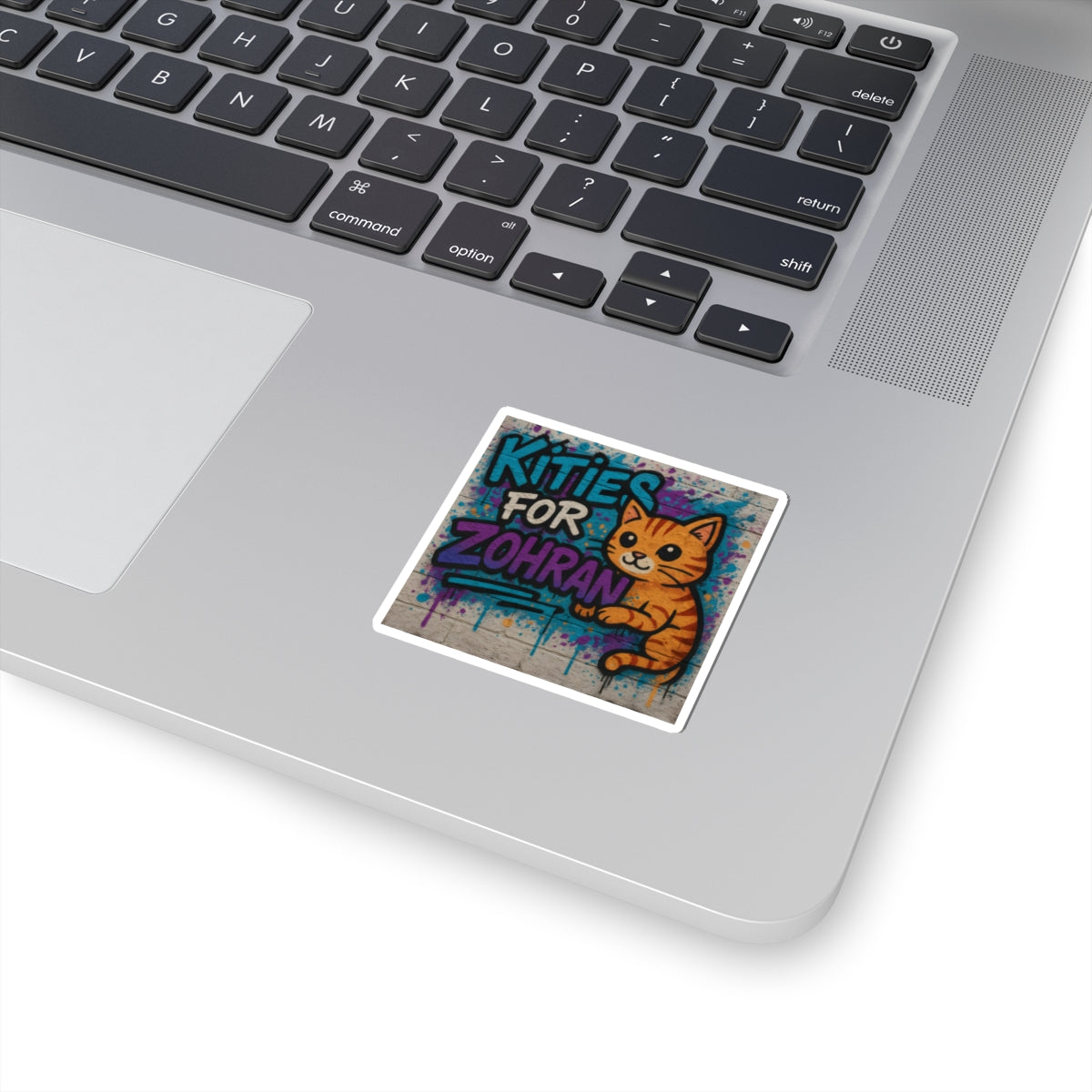 Political Sticker Kitties for Zohran Mamdani Merch NYC New York City Mayor 2025 Decal FDT Anti-Fascism Resistance Decal Social Democrat