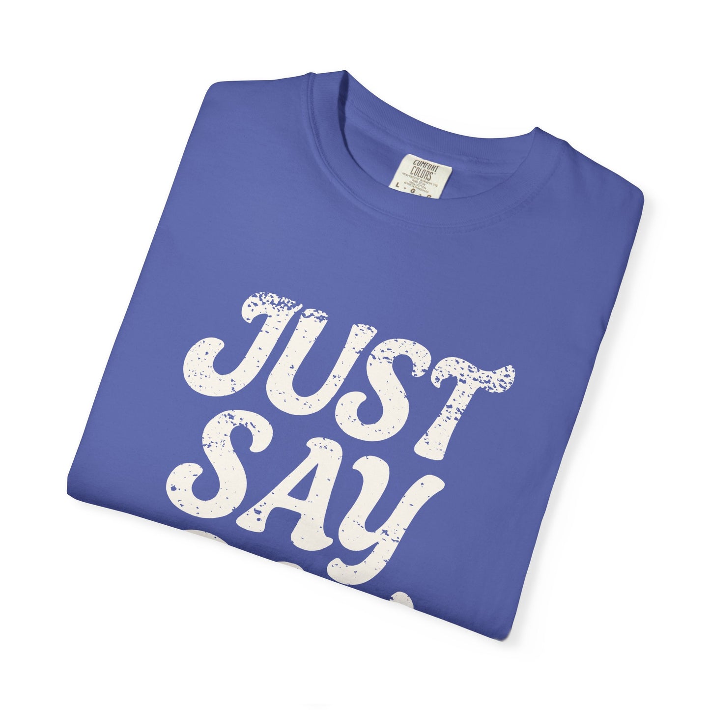 Just Say Gay Protest Shirt Social Justice LGBTQ T-Shirt Comfort Colors Anti-Fascism Resist Queer Gay Lesbian Bisexual Transgender Apparel