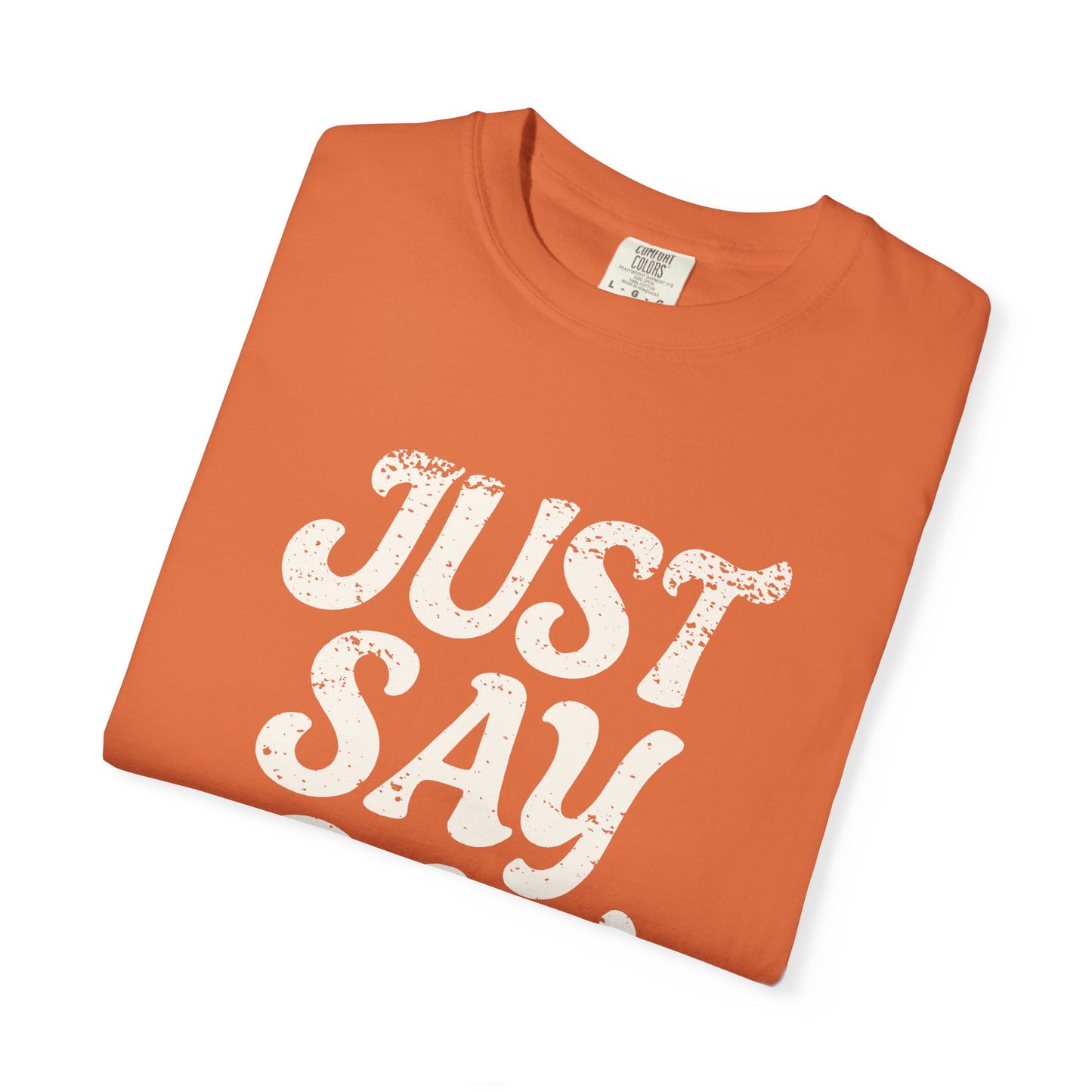 Just Say Gay Protest Shirt Social Justice LGBTQ T-Shirt Comfort Colors Anti-Fascism Resist Queer Gay Lesbian Bisexual Transgender Apparel