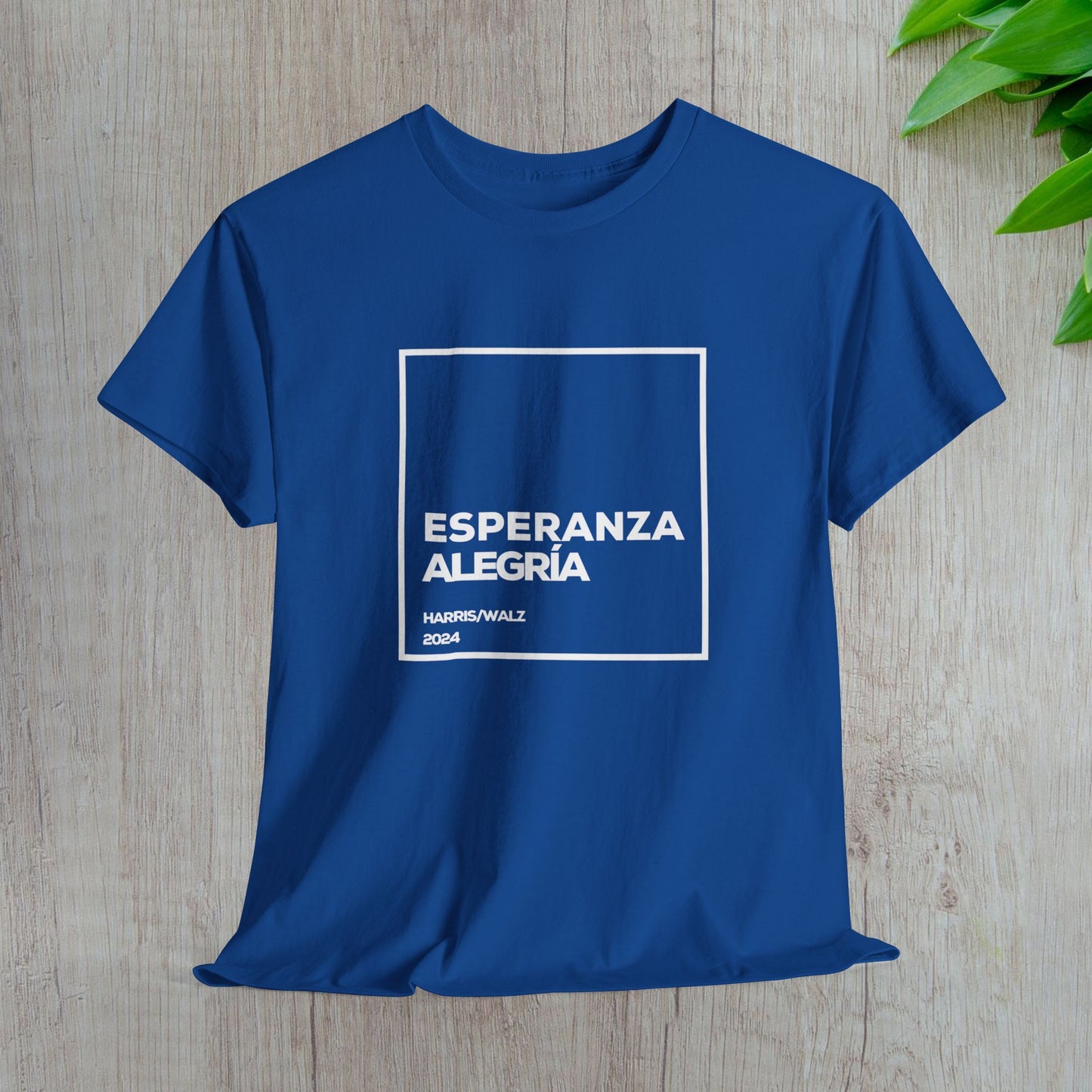 Esperanza y Alegría Shirt- Harris/Walz 2024 T-Shirt in Spanish-  Democrat Presidential Election Tee