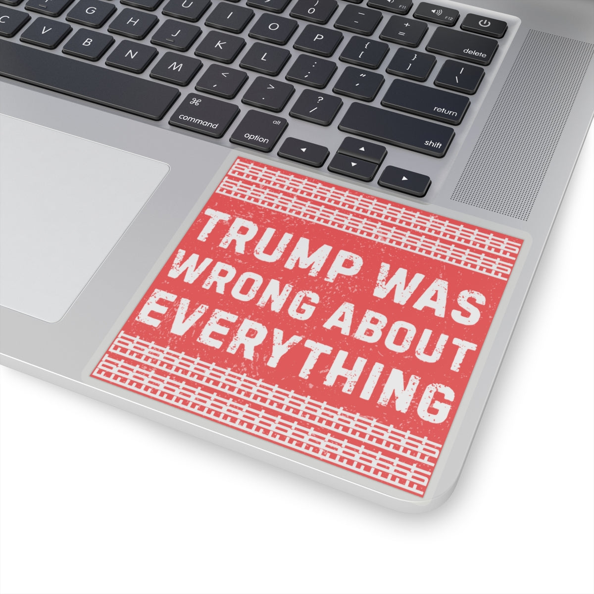 Resist Sticker FDT Anti Trump Was Wrong About Everything Political Decal Protest Sticker Activist Anti-Fascism Resistance Decal
