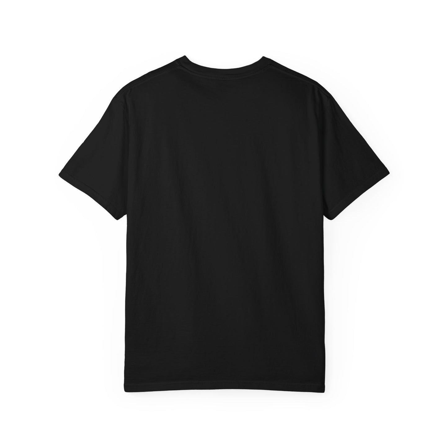 Distressed USA Flag Mourning Protest Shirt Social Justice TShirt Anti-Trump Merch Anti-Fascism Resist Comfort Colors Tee Democrat Apparel
